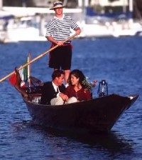 Source:- Presentation of Venice Shine Team