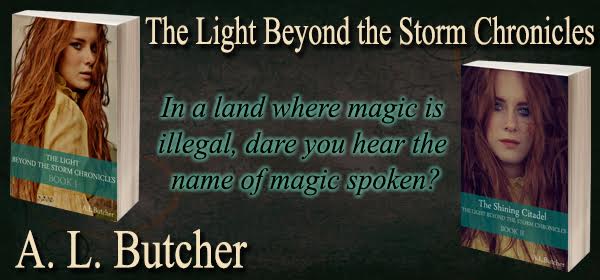 lightbeyondstormbanner
