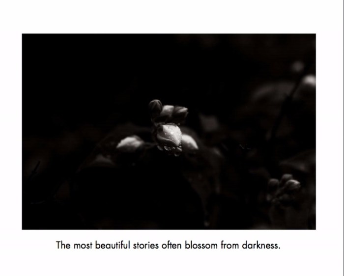 Lifes Little Things Extract 2