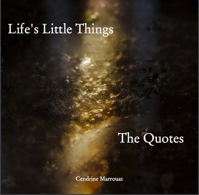 Lifes-Little-Things-cover