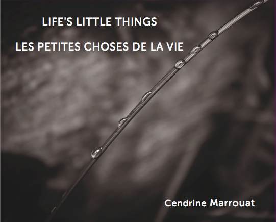 Lifes-Little-Things
