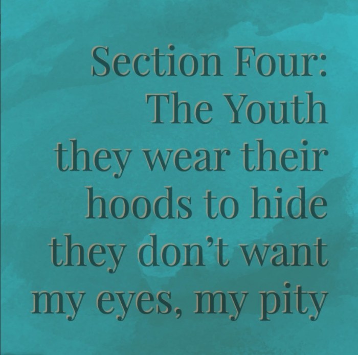 Not A Spectacle Section Four