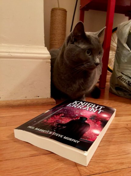 Knight Errant Cat Pic