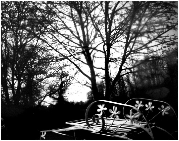 3. Pinhole - Granny's Lounger by M.L.Holton, Canada