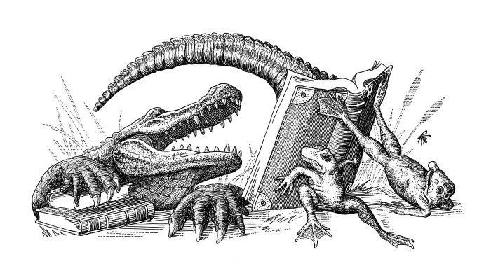 Alligator Logo - Card Size