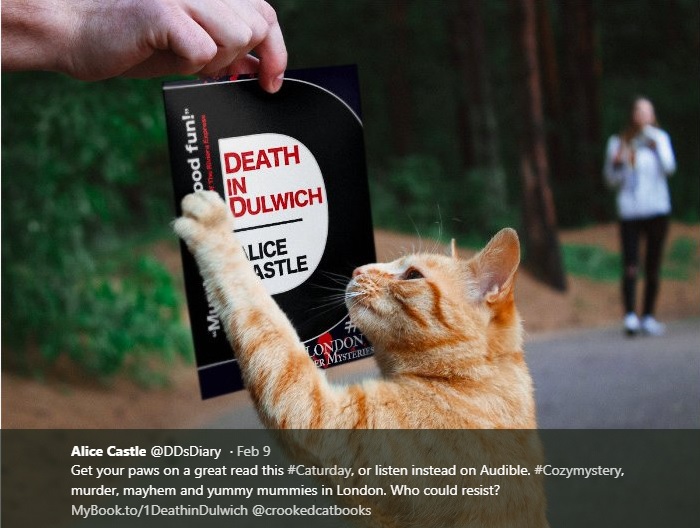 Death In Dulwich Cat