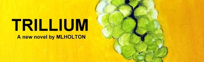 Header - TRILLIUM by MLHolton