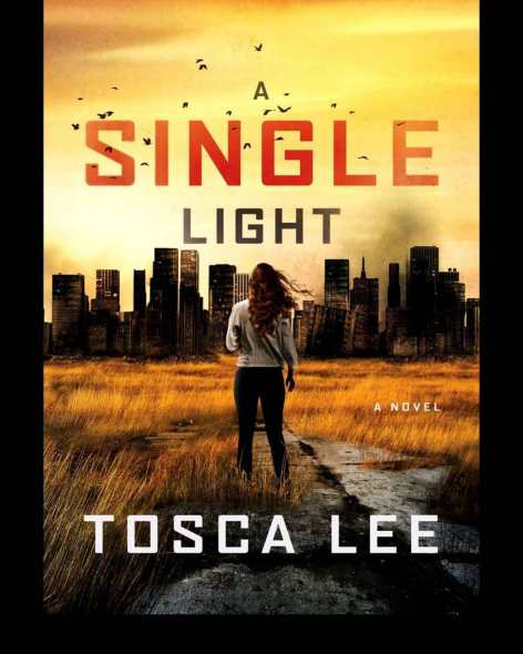 A Single Light Book Cover