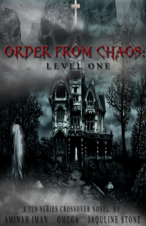 OrderFrom ChaosLevel1CoverFinal (1)