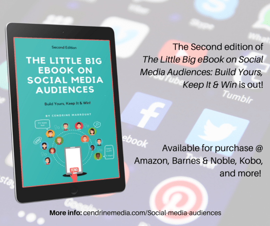 The-Little-Big-ebook-on-social-media-audiences-promo