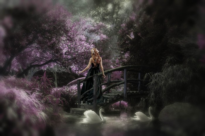 fantasy-4919402_1920